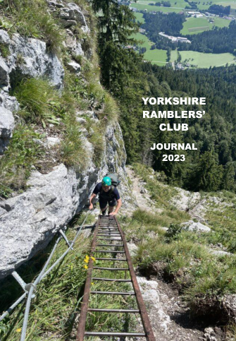 YRCJ 2023; 14(6) cover